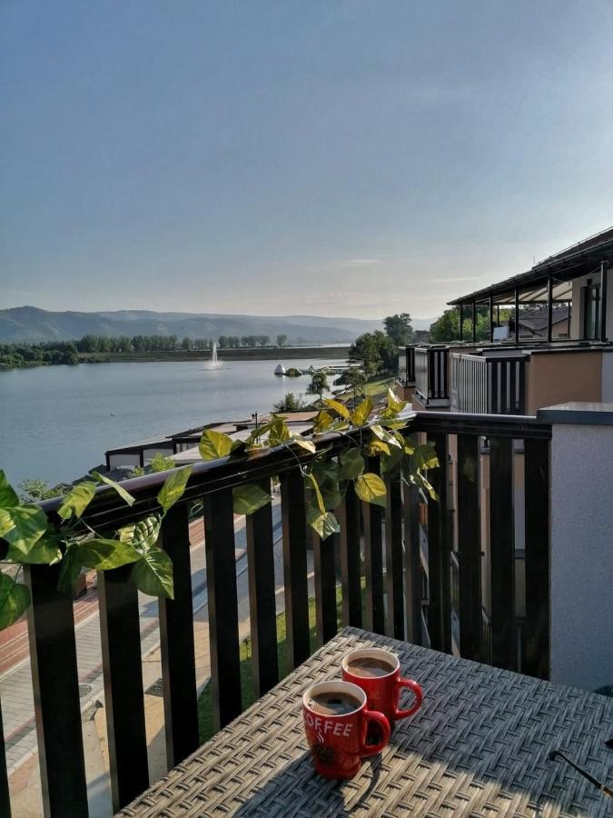 Ferienwohnung Dionis Veliko Gradište Exterior foto